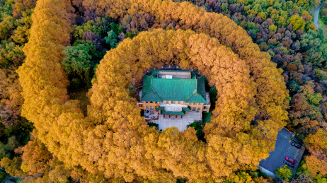 航拍江苏省南京美龄宫秋景