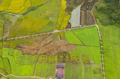 中国广西靖西旧州风景区田园风光