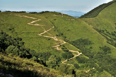 河北省保定市涞源县空中草原