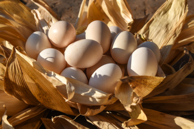 纯土鸡蛋营养鸡蛋