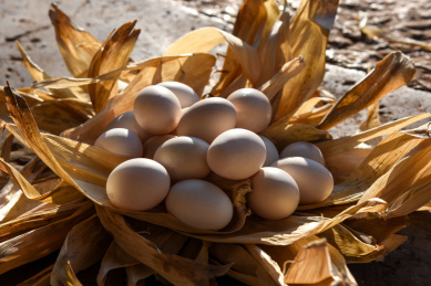 纯土鸡蛋营养鸡蛋