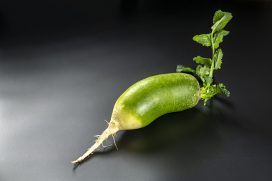 青萝卜特写黑色背景