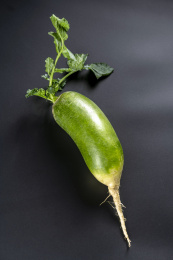 青萝卜特写黑色背景