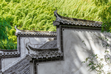 绿色竹林前的白墙黛瓦马头墙