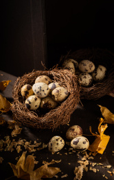 中国东北特色熟食带皮五香鹌鹑蛋