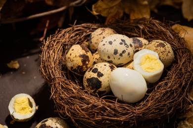 中国东北特色熟食带皮五香鹌鹑蛋