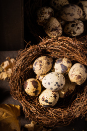 中国东北特色熟食带皮五香鹌鹑蛋