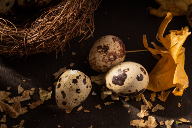 中国东北特色熟食带皮五香鹌鹑蛋