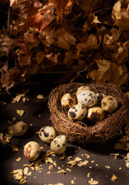 中国东北特色熟食带皮五香鹌鹑蛋