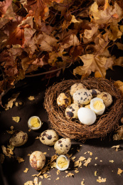 中国东北特色熟食带皮五香鹌鹑蛋