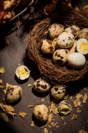 中国东北特色熟食带皮五香鹌鹑蛋