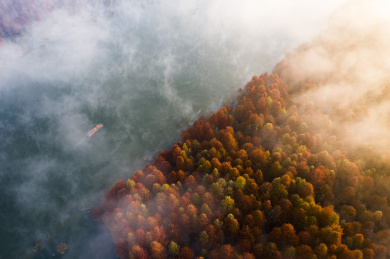 中国安徽省宁国市落羽水上林