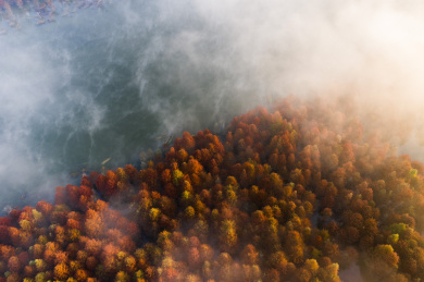 中国安徽省宁国市落羽水上林