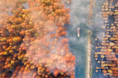 中国安徽省宁国市落羽水上林