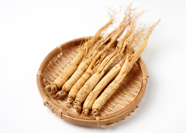 东北长白山人参