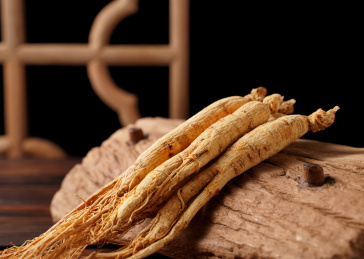 东北长白山人参