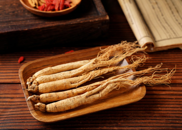 东北长白山人参