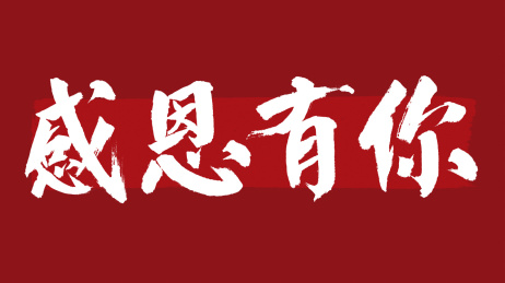感恩有你汉字书法字体设计中国风