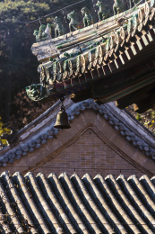 中国北京秋天银杏掩映下的橝柘寺