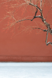 亚洲中国北京市故宫的冬天雪景