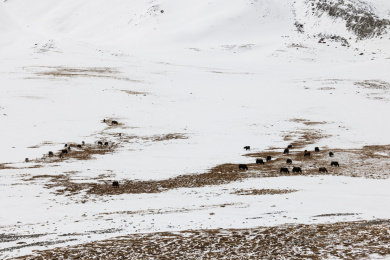 中国新疆帕米尔高原雪山风光