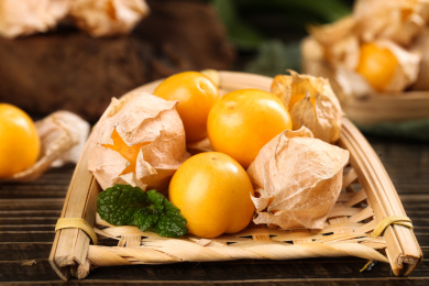 深木底上簸箕里放着一堆东北菇娘果