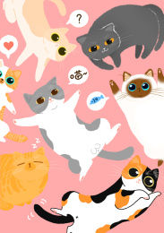 猫咪插画