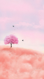 漫山遍野的桃花飞舞