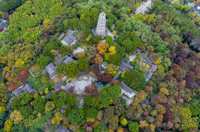 中国江苏苏州虎丘山风景名胜区秋色