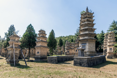中国河南省登封市嵩山少林寺古代塔林