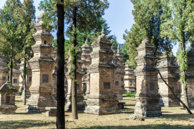 中国河南省登封市少林寺塔林，世界文化遗产