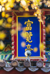 中国北京秋天银杏掩映下的宫墙屋檐