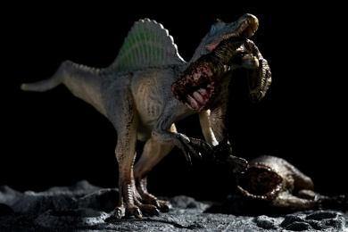 陨石坑旁的棘龙叼着健龙尸体