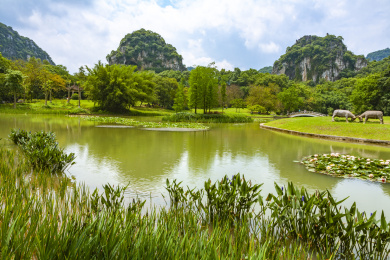 中国广西柳州龙潭公园的美丽景色