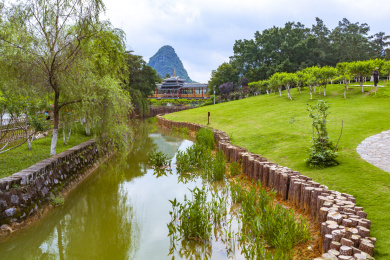 中国广西柳州龙潭公园的美丽景色