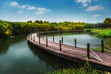 中国苏州阳澄湖生态园