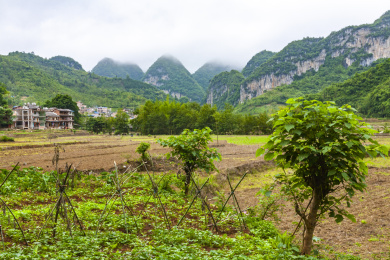 云南省文山州广南县坝美村 