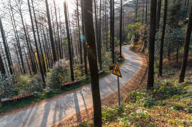 秋季的中国浙江莫干山林中弯曲的道路