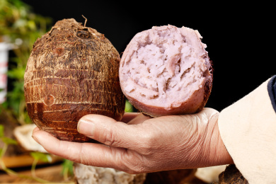 手上拿着一个完整的荔浦芋头和半边香芋