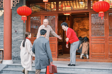 东方人像回家过年