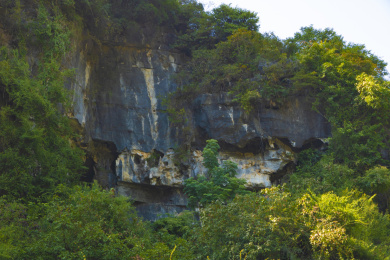 中国广西桂林阳朔山、树与岩石纹理