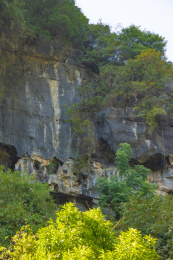 中国广西桂林阳朔山、树与岩石纹理