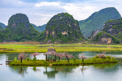云南文山普者黑的普者黑国家湿地公园