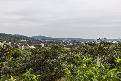 中国江苏苏州陆巷古村风光