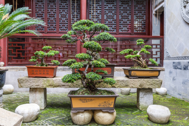 中国江苏苏州陆巷古村宝俭堂