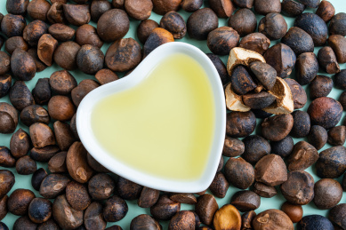 山茶籽和山茶油 