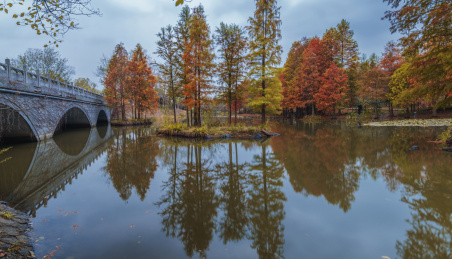 中国江苏南京东郊钟山风景名胜区燕雀湖风光