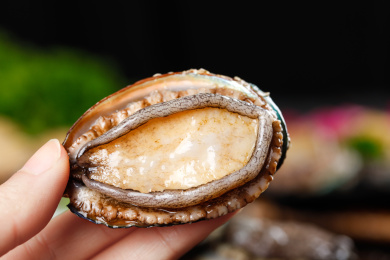 手上拿着一个生鲜大鲍鱼