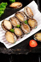 黑底上放着一盘鲜冻鲍鱼