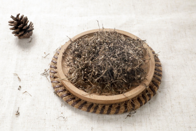 中华传统中药材白花蛇草